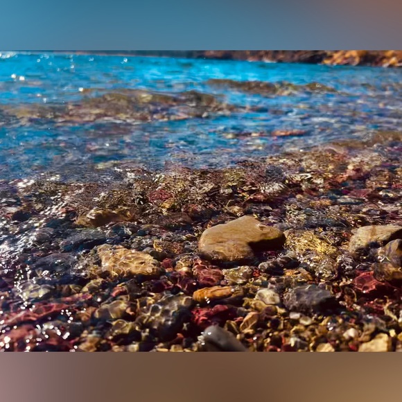 Meet your Posher, Olivia - Picture 11 of 12